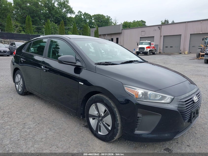 2019 Hyundai Ioniq hybrid VIN KMHC65LC0KU156576 — IAAI salvage auction photo