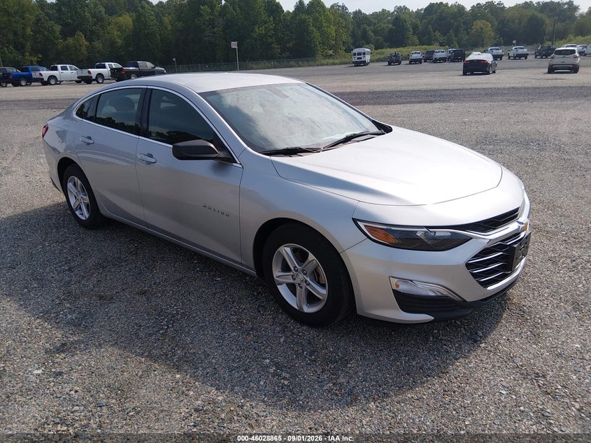 2019 Chevrolet Malibu VIN 1G1ZC5ST5KF208659 — IAAI salvage auction photo
