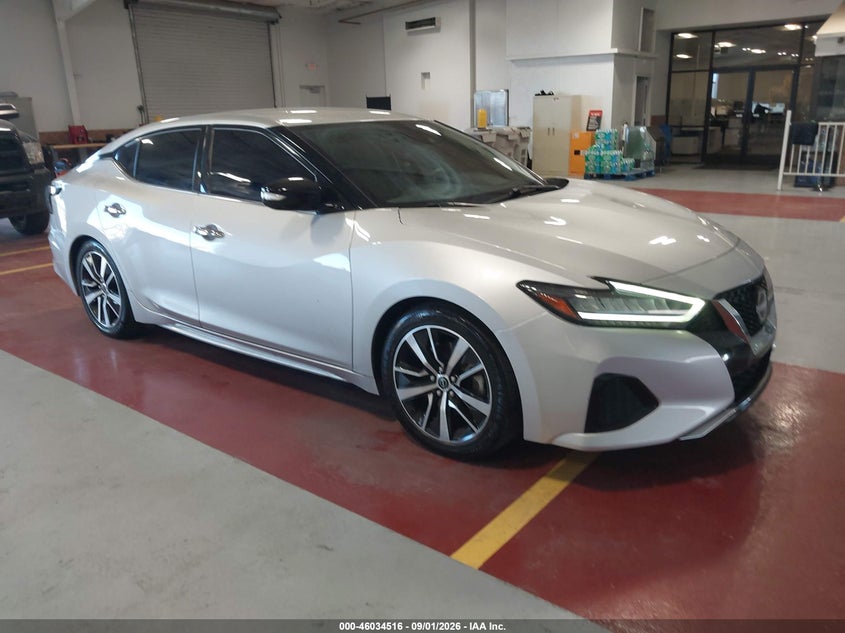2023 Nissan Maxima VIN 1N4AA6CV7PC508041 — IAAI salvage auction photo
