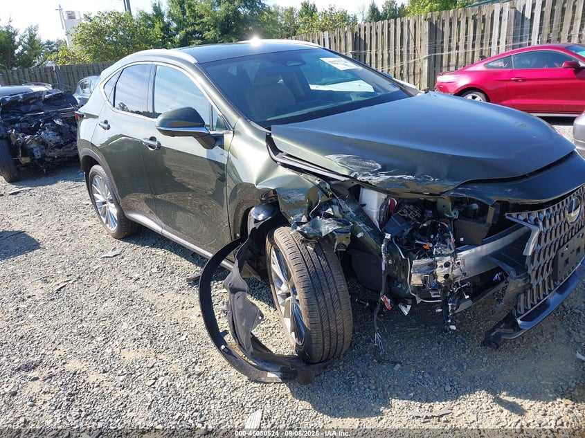 2024 Lexus Nx VIN 2T2HGCEZ4RC035632 — IAAI salvage auction photo