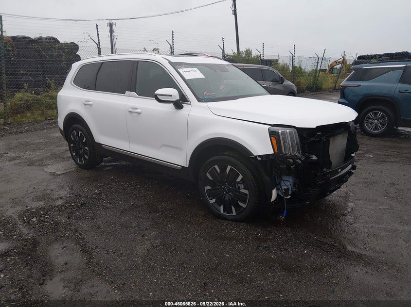 2025 Kia Telluride VIN 5XYP54GC1SG673447 — IAAI salvage auction photo