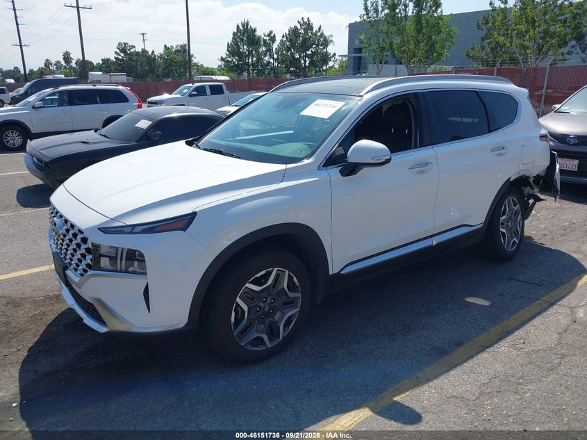 2022 Hyundai Santa fe VIN KM8S3DA10NU037432 IAAI salvage auction — SIDE, Salvage (California), sold $12,800 on 2026-10-01 (photo 2)