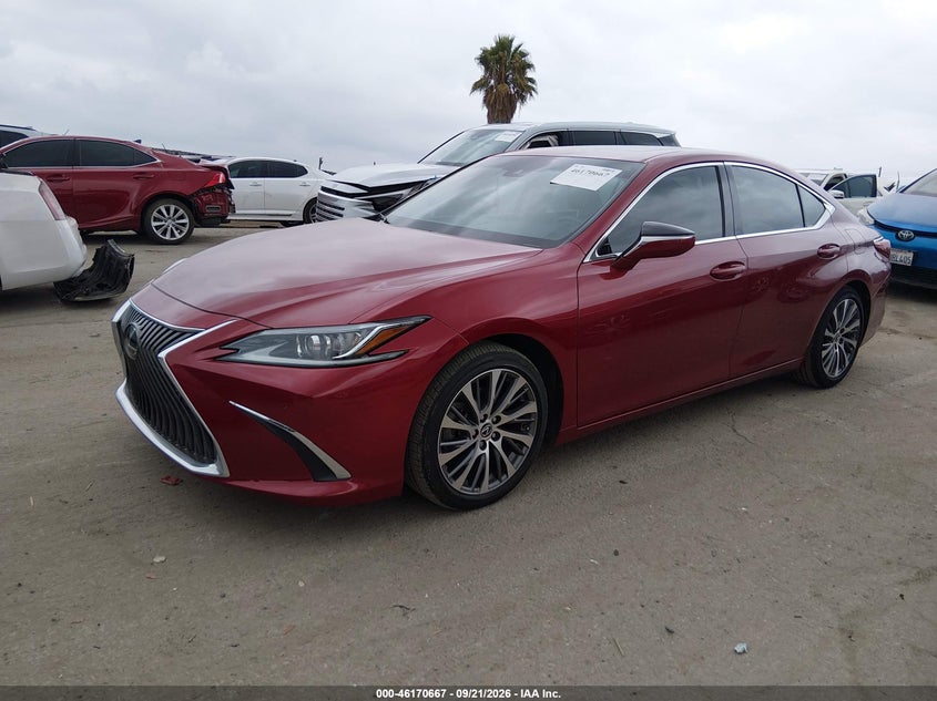 2020 Lexus ES VIN 58ADZ1B17LU080742 IAAI salvage auction — NORMAL WEAR, Salvage Title, sold $15,250 on 2026-10-14 (photo 2)