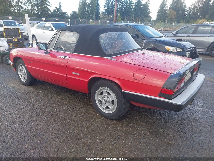 1987 Alfa romeo Spider VIN ZARBA5588H1048374 IAAI salvage auction — NORMAL WEAR, Clear (Washington), sold $2,700 on 2026-10-07 (photo 3)