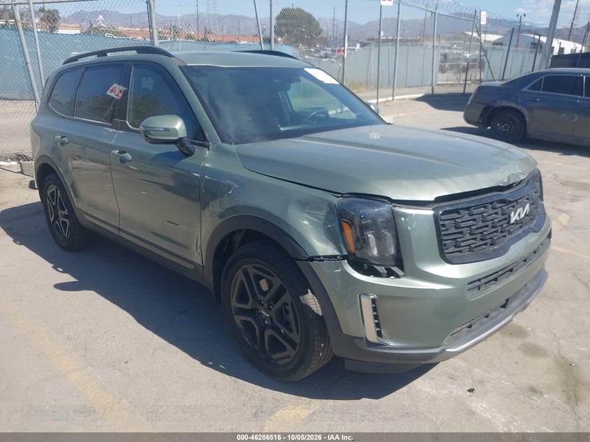 2024 Kia Telluride VIN 5XYP5DGC1RG542383 — IAAI salvage auction photo