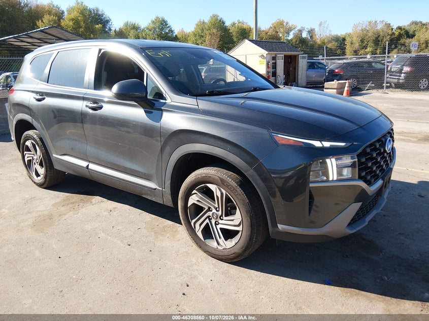 2023 Hyundai Santa fe VIN 5NMS1DAJXPH517059 — IAAI salvage auction photo