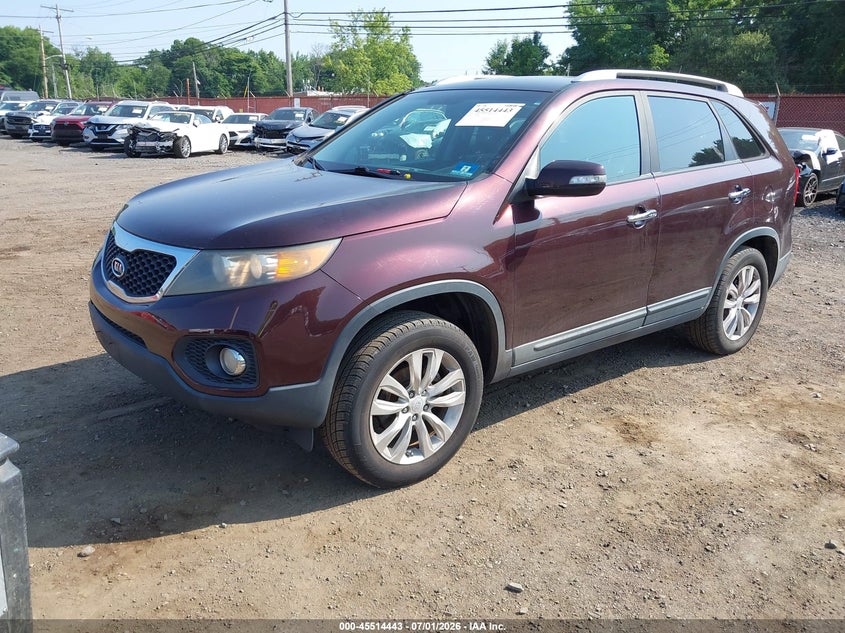 2011 Kia Sorento VIN 5XYKU4A18BG008498 IAAI salvage auction — RIGHT SIDE, Salvage (Idaho), sold $1,500 on 2026-07-22 (photo 2)