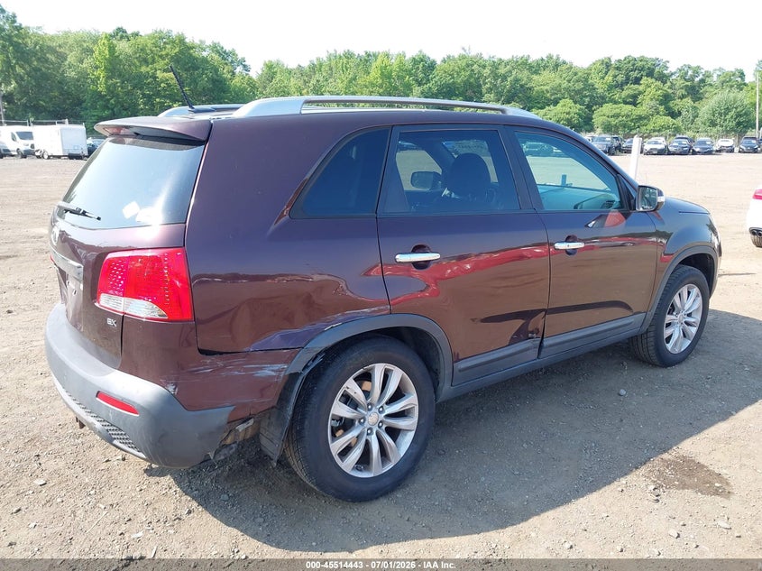 2011 Kia Sorento VIN 5XYKU4A18BG008498 IAAI salvage auction — RIGHT SIDE, Salvage (Idaho), sold $1,500 on 2026-07-22 (photo 6)