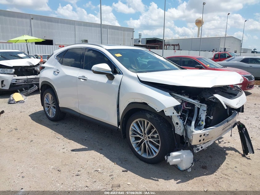 2025 Lexus Nx VIN 2T2GGCEZ0SC065812 IAAI salvage auction — FRONT END, Salvage Title, sold $15,100 on 2026-08-27 (photo 1)