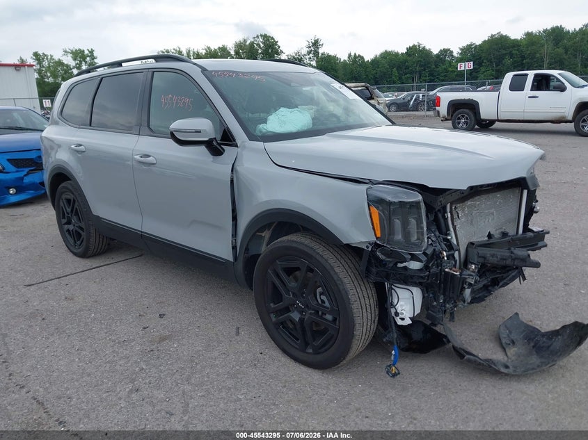 2024 Kia Telluride VIN 5XYP5DGC7RG541867 — IAAI salvage auction photo