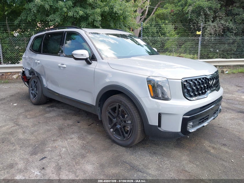 2025 Kia Telluride VIN 5XYP5DGCXSG619807 — IAAI salvage auction photo