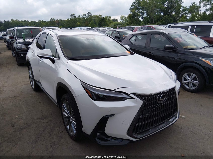 2025 Lexus NX 350 VIN 2T2GGCEZ1SC088807 — IAAI salvage auction photo