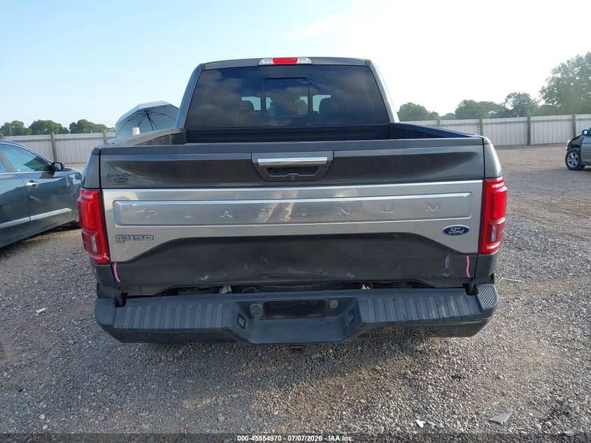 2016 Ford F-150 VIN 1FTEW1EG4GFA50634 IAAI salvage auction — REAR END, Salvage (Louisiana), sold $5,100 on 2026-07-19 (photo 6)