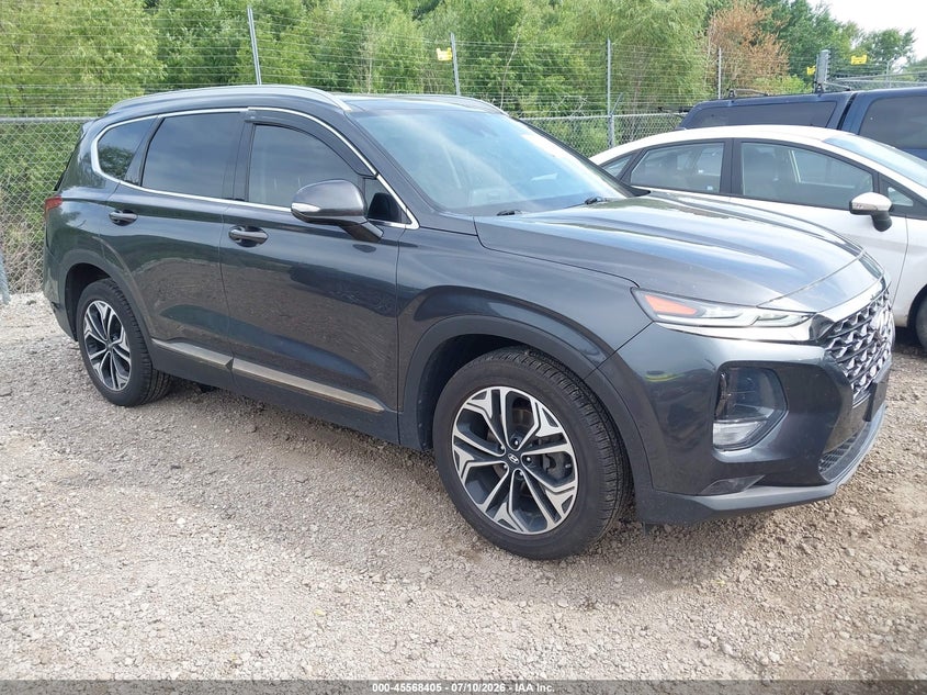 2020 Hyundai Santa fe VIN 5NMS5CAA7LH300724 — IAAI salvage auction photo