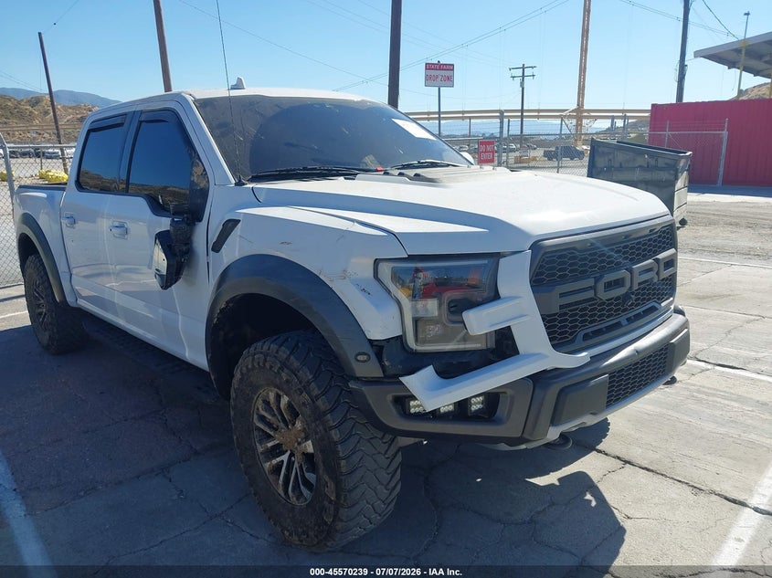 2019 Ford F-150 VIN 1FTFW1RG7KFA74384 IAAI salvage auction — RIGHT SIDE, Salvage Title, sold $18,700 on 2026-07-25 (photo 1)
