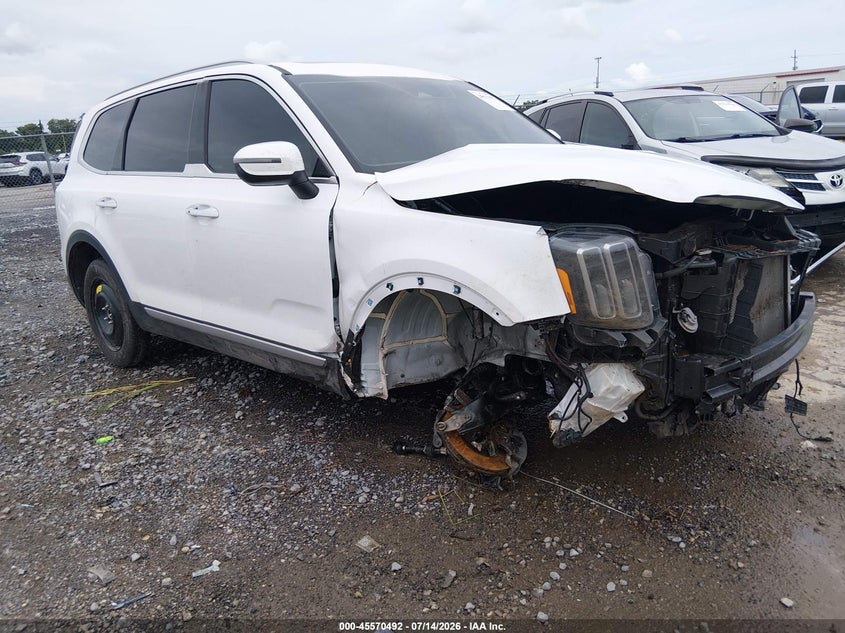 2025 Kia Telluride VIN 5XYP64GC7SG625920 — IAAI salvage auction photo