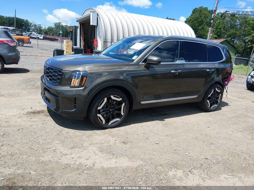 2025 Kia Telluride VIN 5XYP6DGC7SG664717 IAAI salvage auction — REAR END, Salvage Title, sold $13,400 on 2026-08-02 (photo 2)