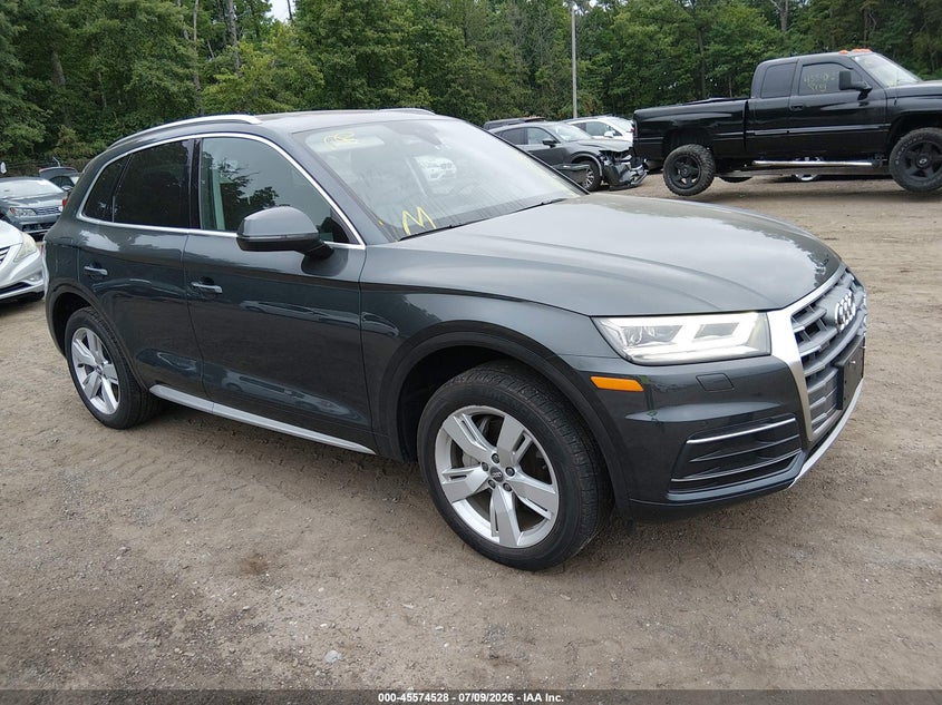 2019 Audi Q5 VIN WA1BNAFY8K2122877 — IAAI salvage auction photo