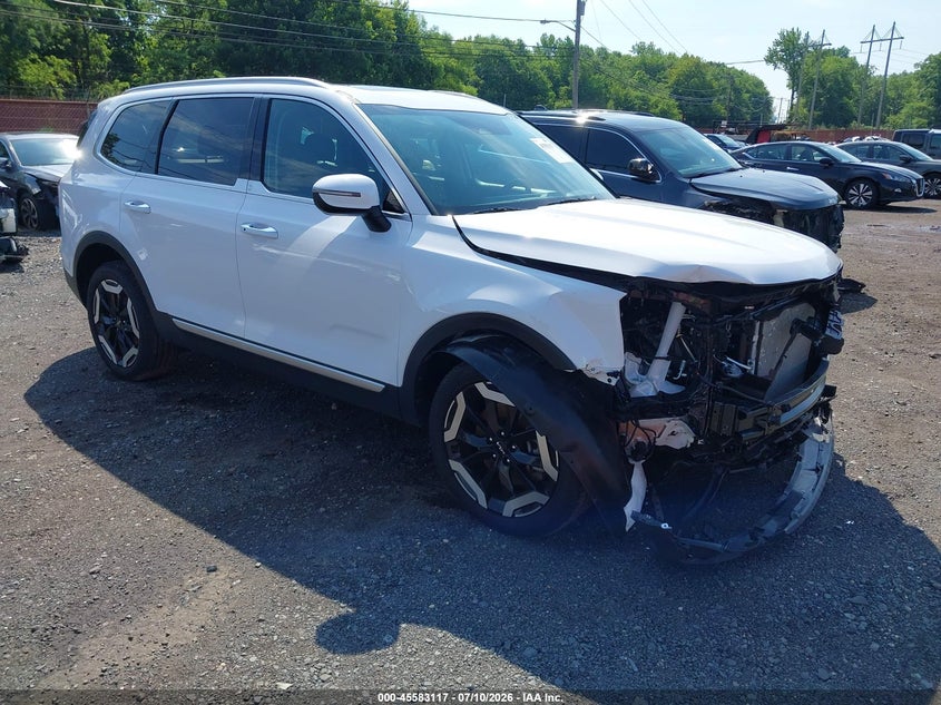 2025 Kia Telluride VIN 5XYP6DGC0SG640064 — IAAI salvage auction photo