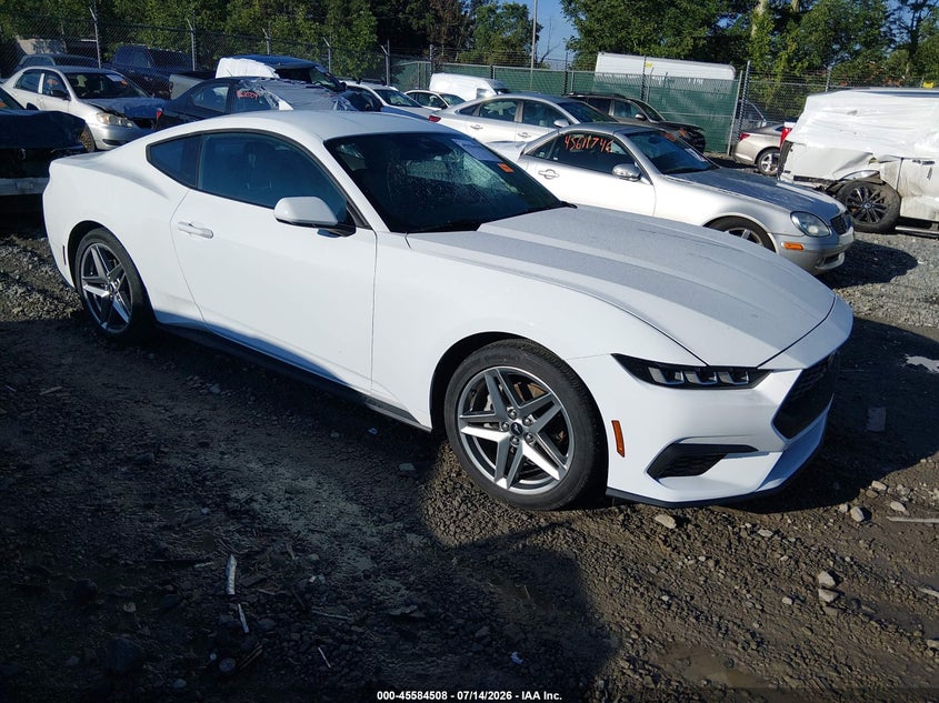 2024 Ford Mustang VIN 1FA6P8TH6R5113446 — IAAI salvage auction photo