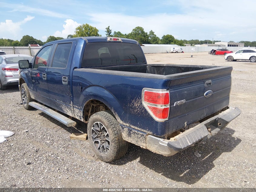 2010 Ford F-150 VIN 1FTEW1C88AFD29880 IAAI salvage auction — WATER/FLOOD, Salvage (Louisiana), sold $800 on 2026-07-24 (photo 3)