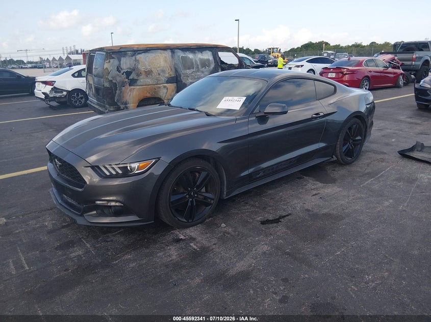 2017 Ford Mustang VIN 1FA6P8TH7H5259188 IAAI salvage auction — SIDE, Rebuildable (Florida), sold $6,200 on 2026-07-29 (photo 2)
