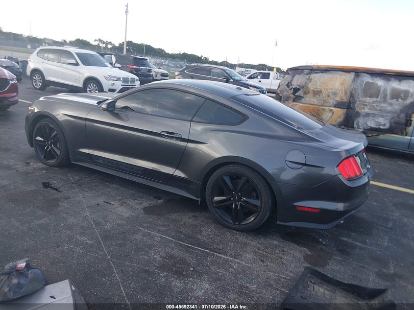 2017 Ford Mustang VIN 1FA6P8TH7H5259188 IAAI salvage auction — SIDE, Rebuildable (Florida), sold $6,200 on 2026-07-29 (photo 3)