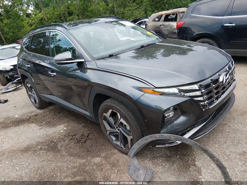 2024 Hyundai Tucson VIN 5NMJECDE8RH313565 — IAAI salvage auction photo