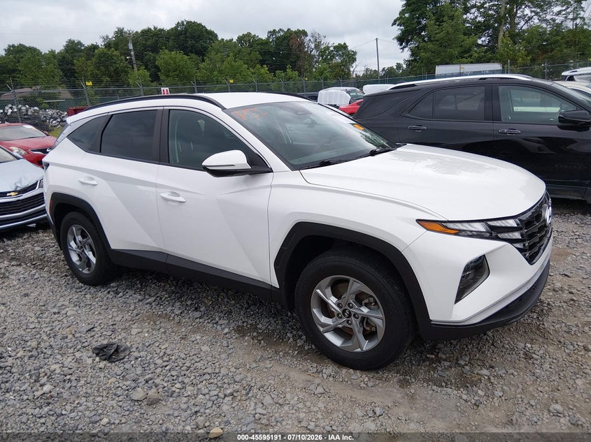 2023 Hyundai Tucson VIN 5NMJBCAE1PH190900 — IAAI salvage auction photo