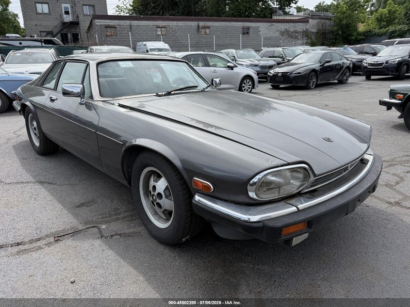 1985 Jaguar Xj series VIN SAJNV5842FC119317 IAAI salvage auction — NORMAL WEAR, Clear (New Jersey), sold $1,750 on 2026-07-17 (photo 1)