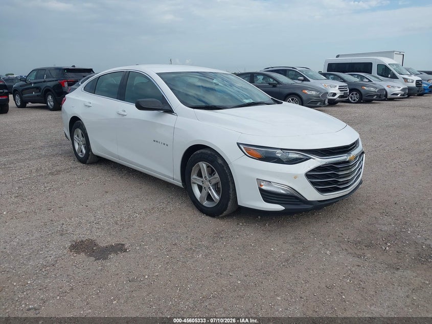 2019 Chevrolet Malibu VIN 1G1ZC5ST4KF196181 — IAAI salvage auction photo