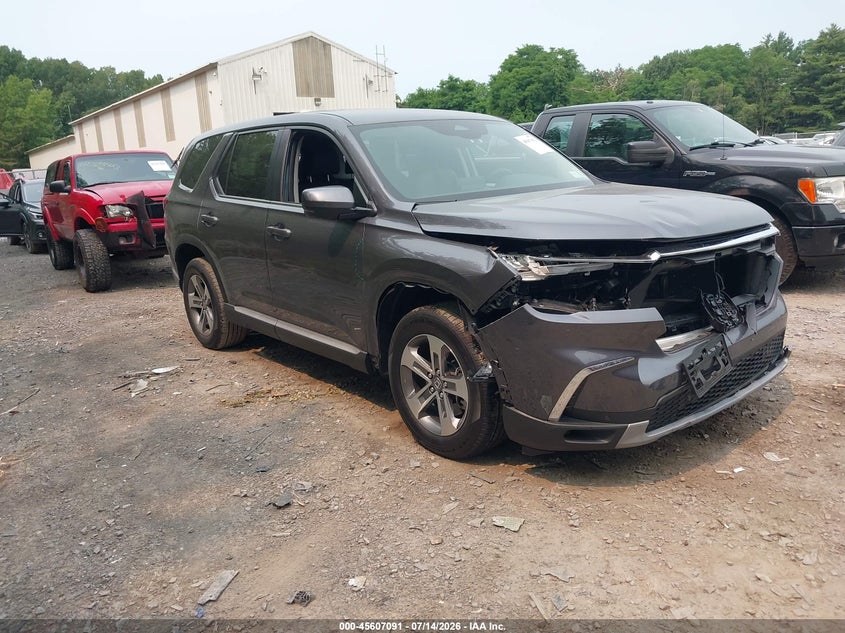 2024 Honda Pilot VIN 5FNYG1H51RB033088 — IAAI salvage auction photo