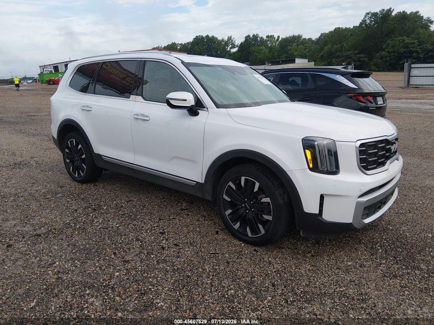 2024 Kia Telluride VIN 5XYP54GCXRG431640 IAAI salvage auction — WATER/FLOOD, Salvage (Louisiana), sold $5,400 on 2026-07-29 (photo 1)