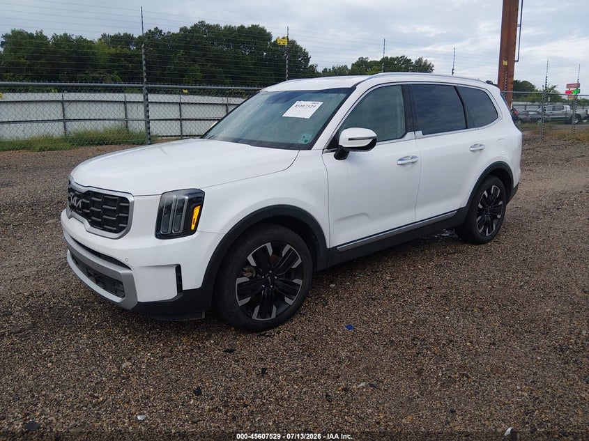 2024 Kia Telluride VIN 5XYP54GCXRG431640 IAAI salvage auction — WATER/FLOOD, Salvage (Louisiana), sold $5,400 on 2026-07-29 (photo 2)