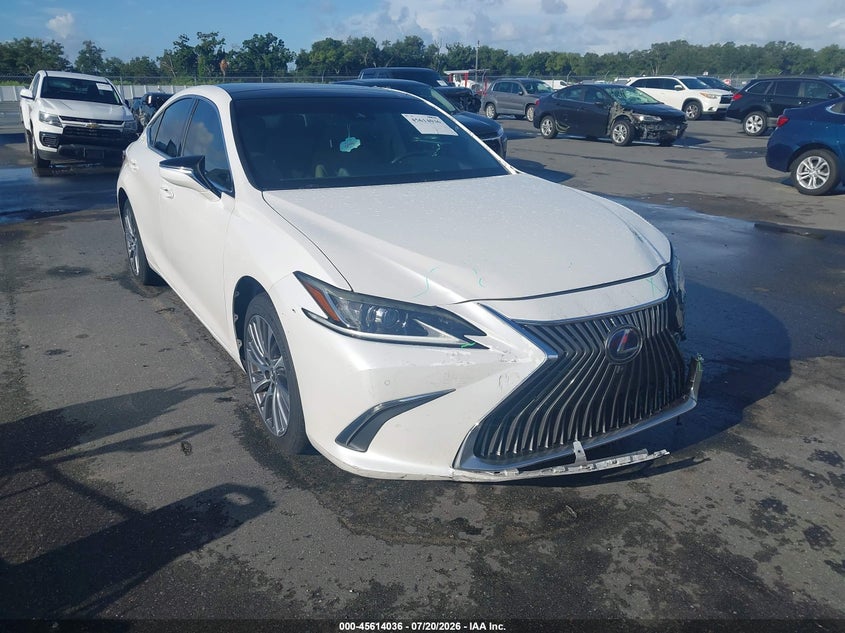 2019 Lexus ES VIN 58ABZ1B16KU029528 — IAAI salvage auction photo