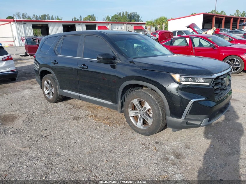 2024 Honda Pilot VIN 5FNYG2H52RB016550 — IAAI salvage auction photo