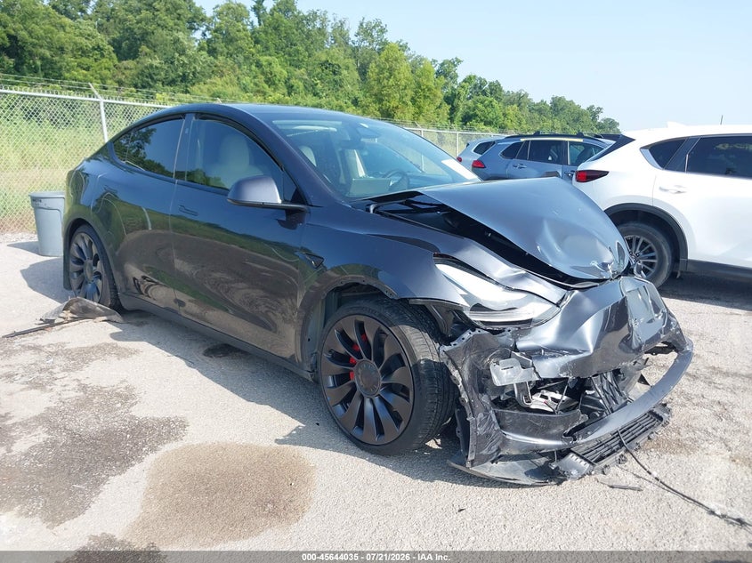2024 Tesla Model y VIN 7SAYGDEF0RF052491 — IAAI salvage auction photo