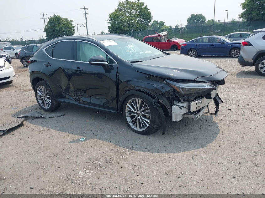 2025 Lexus Nx VIN 2T2GKCEZ3SC036383 — IAAI salvage auction photo