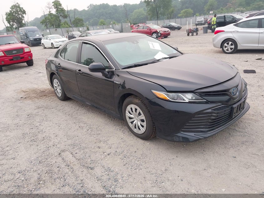 2019 Toyota Camry VIN 4T1B31HK1KU513518 — IAAI salvage auction photo
