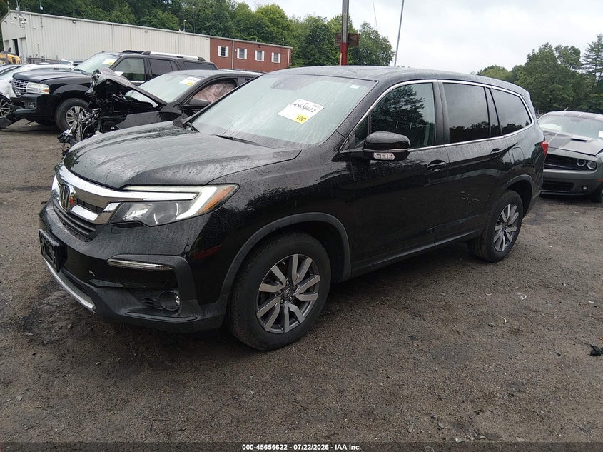 2019 Honda Pilot VIN 5FNYF6H57KB041718 IAAI salvage auction — RIGHT SIDE, Salvage Title, sold $8,850 on 2026-08-18 (photo 2)