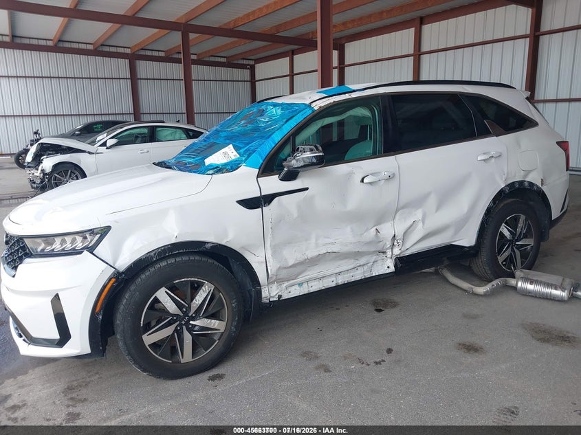2021 Kia Sorento VIN 5XYRL4LC9MG018430 IAAI salvage auction — SIDE, Certificate Of Destruction (Florida), sold $2,050 on 2026-07-22 (photo 6)
