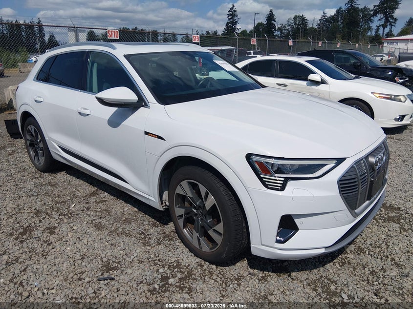 2023 Audi E-tron VIN WA1AAAGE6PB002773 — IAAI salvage auction photo