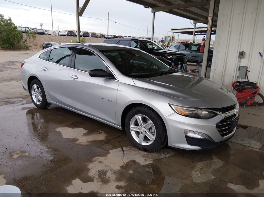 2020 Chevrolet Malibu VIN 1G1ZC5ST7LF137904 — IAAI salvage auction photo