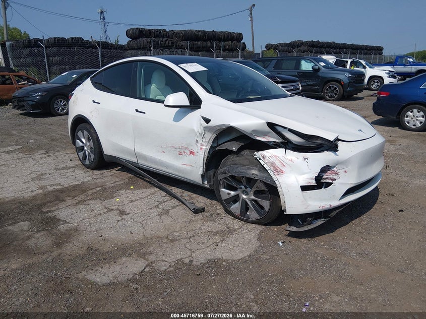 2023 Tesla Model y VIN 7SAYGDEE6PF698557 — IAAI salvage auction photo
