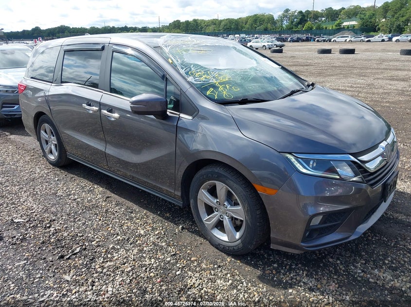 2019 Honda Odyssey VIN 5FNRL6H77KB005865 — IAAI salvage auction photo