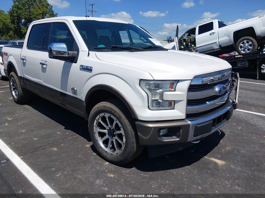 2017 Ford F-150 VIN 1FTEW1EGXHFC45493 — IAAI salvage auction photo