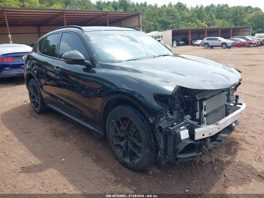 2019 Alfa romeo Stelvio VIN ZASPAKBN3K7C51385 — IAAI salvage auction photo