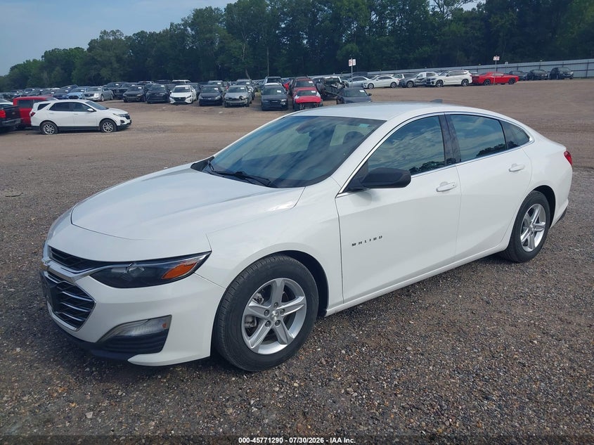 2020 Chevrolet Malibu VIN 1G1ZC5STXLF138559 IAAI salvage auction — REAR END, SF97 (Louisiana), sold $8,200 on 2026-09-03 (photo 2)