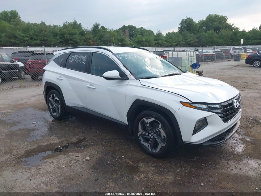 2024 Hyundai Tucson VIN 5NMJB3DE8RH423217 — IAAI salvage auction photo