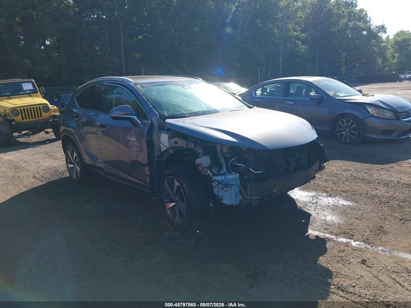 2018 Lexus Nx VIN JTJBARBZ5J2151246 — IAAI salvage auction photo